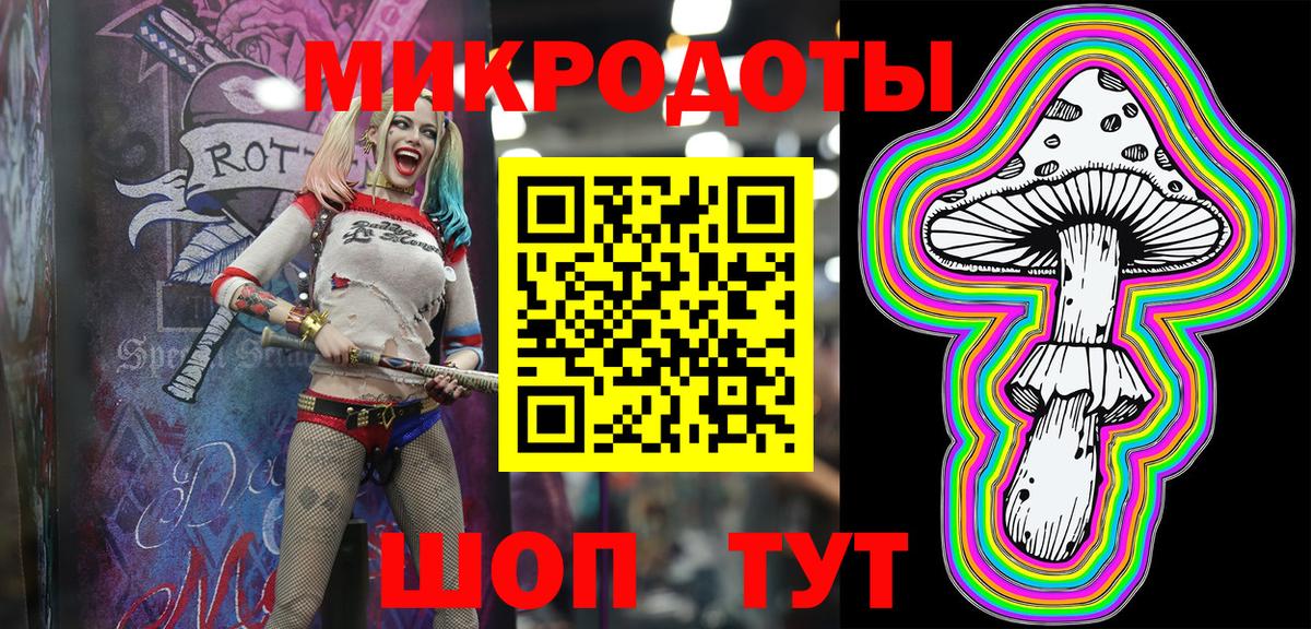 Галлюциногенные грибы Psilocybine cubensis Усть-Джегута